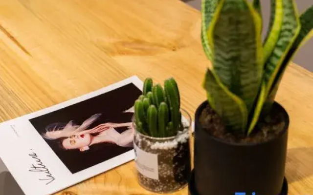 Sami Loft Guesthouse