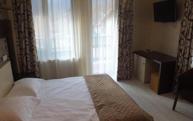 Pensiunea Steaua Nordului