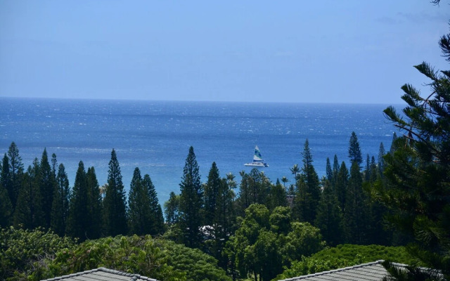 Kapalua Golf Villa 25v2 Gold Ocean View