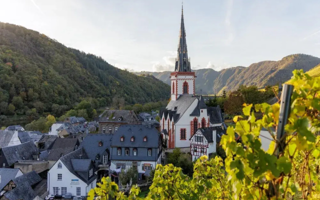 Restyled Villa near River Moselle