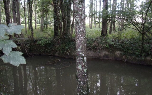 La Chaumière de Beaumont