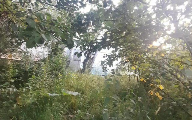 Waterfall in the yard