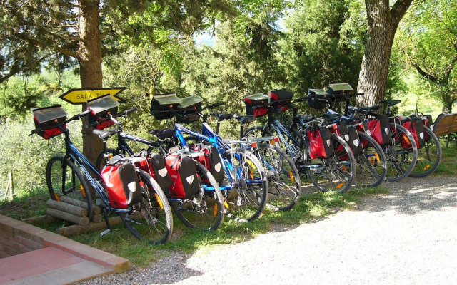 Fattoria Pieve a Salti