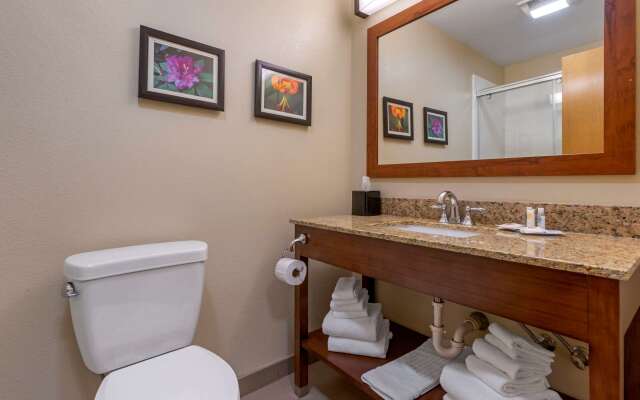 Comfort Suites Boone - University Area