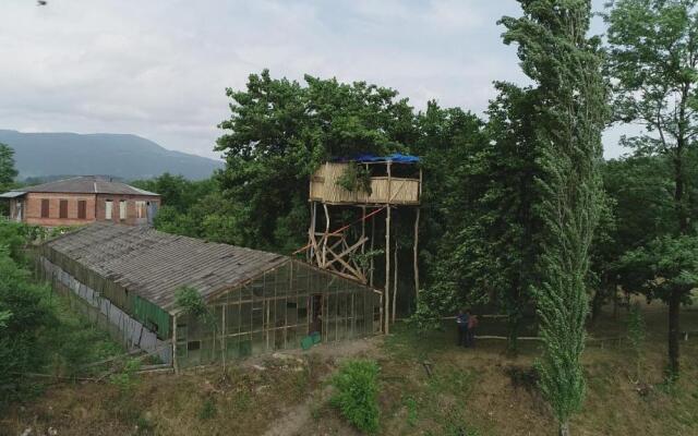 Eagle Nest