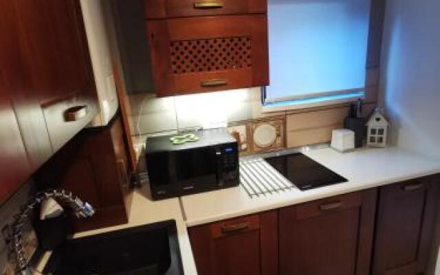 Apartament Kalinderu 2 Busteni