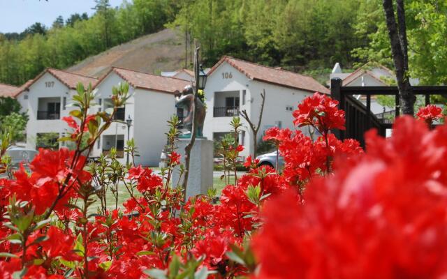 Damyang Meta Pension