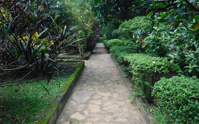 Soho Greens Apartment 2