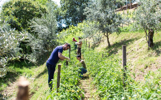 Home for Creativity - Coliving Calabria