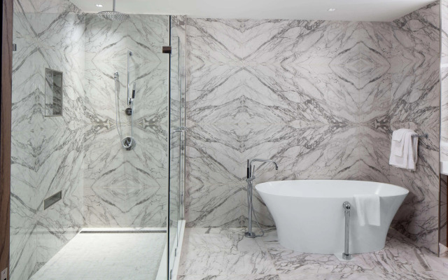 Hilton Rochester Mayo Clinic Area