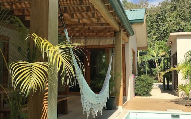 Tropical Boutique Sunrise