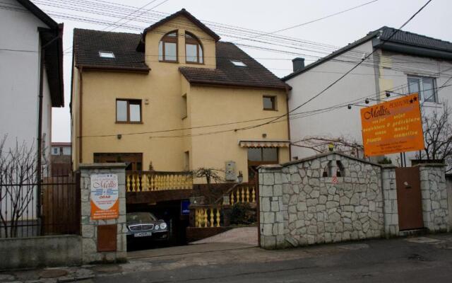 Pension Mellis Cluj Napoca