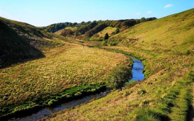 The Exmoor Forest Inn