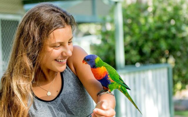 Tasman Holiday Parks - Kioloa Beach