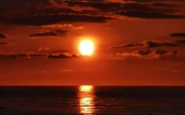 REWAL Komfortowy apartament przy plaży typu STUDIO