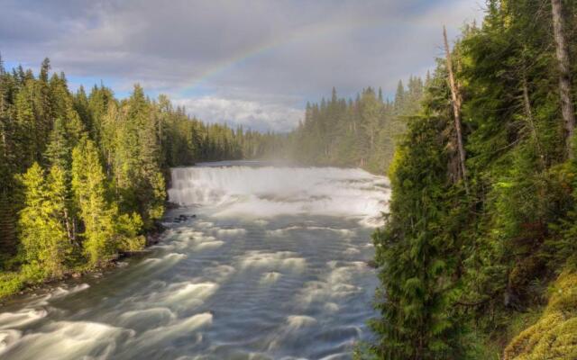 Hummingbird Bed and Breakfast