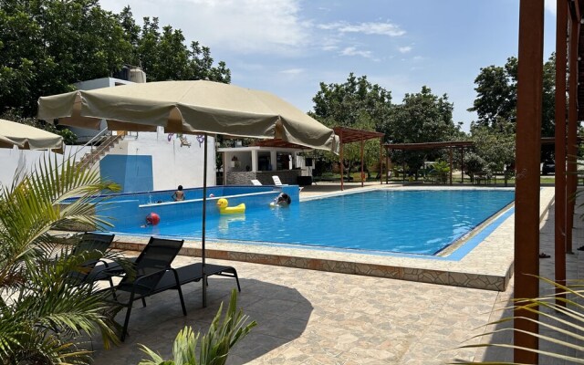 Ica adventures out of the woods