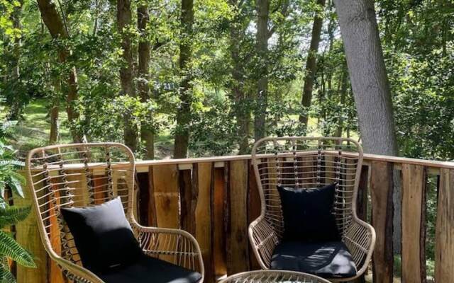 Luxury Cabin in the Woods