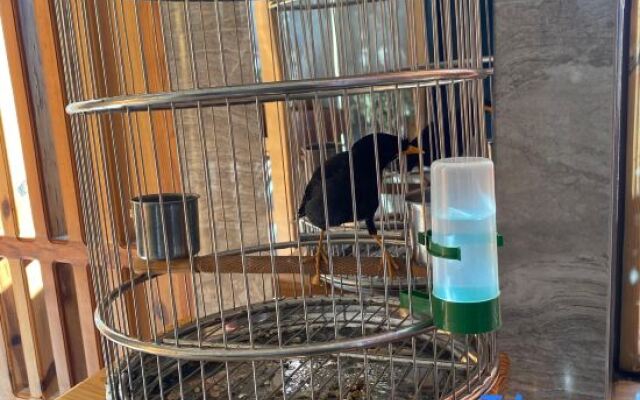 Huaxi Hongta Avenue High-speed Railway Station