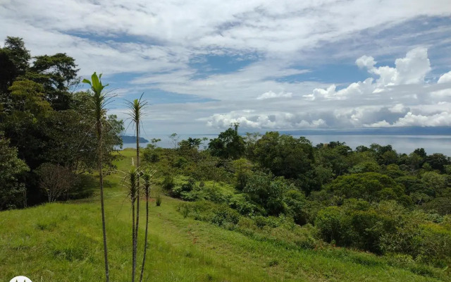 Mirador Osa