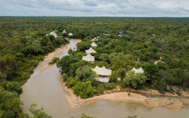 Thornybush Saseka Tented Camp