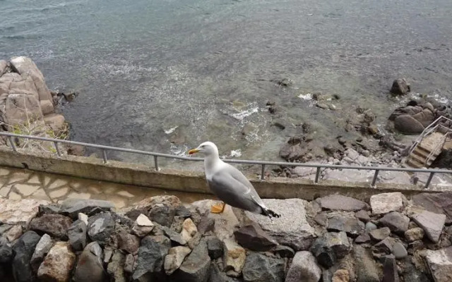 Afrodita Guest House