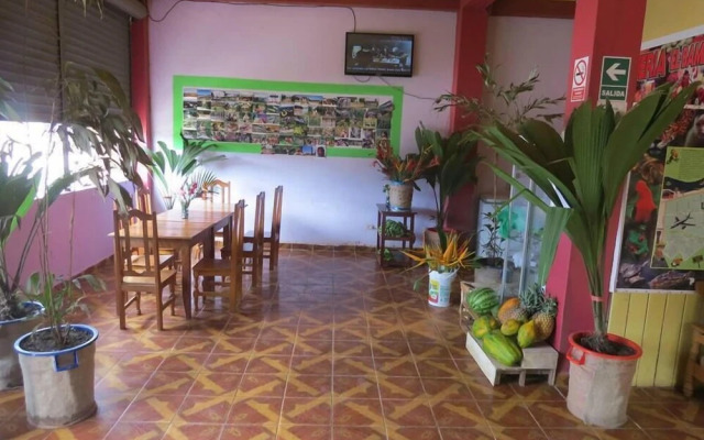 Bambú - Hostel