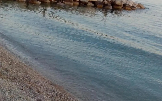 Summer rest