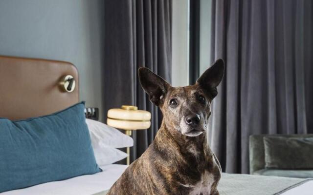 Home Suite Hotels Rosebank