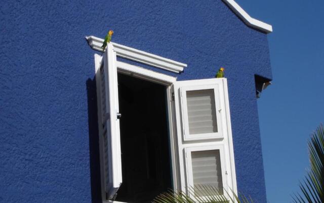 Blachi Koko Apartments Bonaire