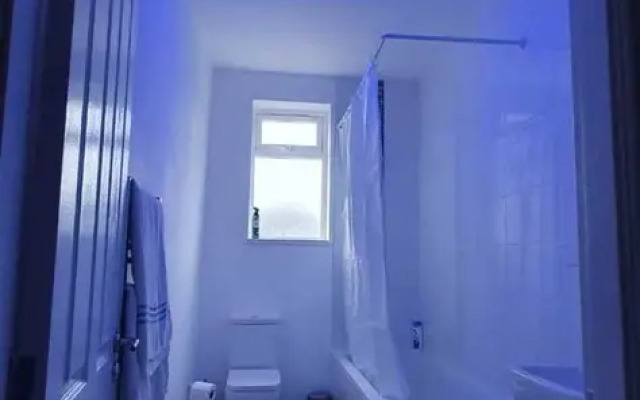 Fantastic New Room-1