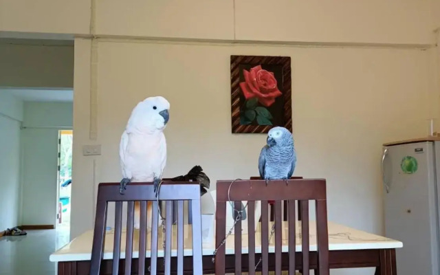 Family Resort Khao Yai (Pet-friendly hotel)