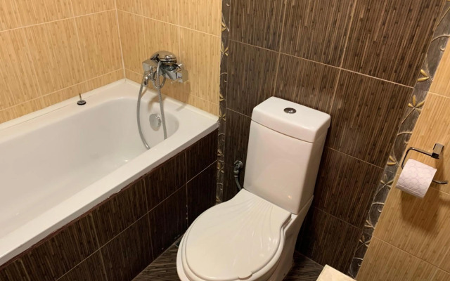 Apartments in Alexander complex