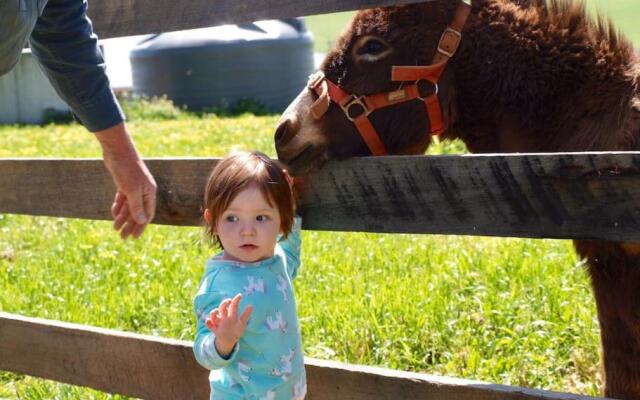 Manderley Park Farmstay B&B