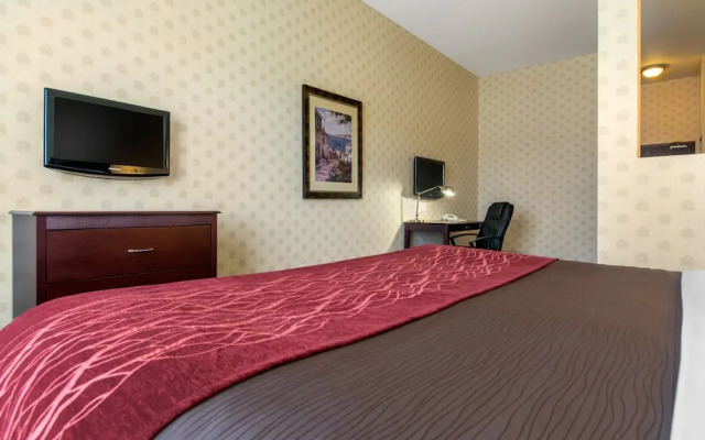 Comfort Inn & Suites