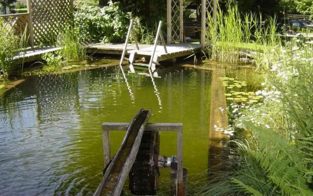 Pension & Appartement Steinwender