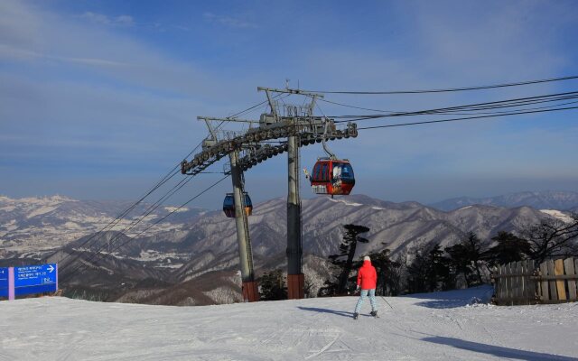 Yongpyong Resort Villa Condominium