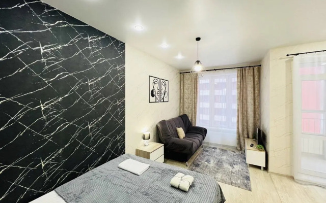 Саквояж на улице Алексеева 46