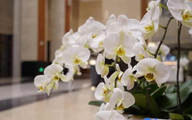 Qing Hua Hai Guan Fang Garden Hotel