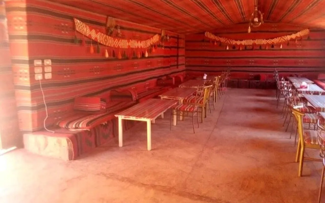 Bedouin habits tours camp