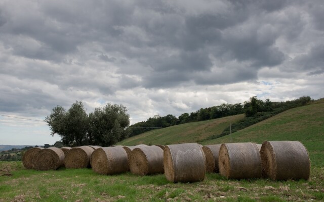 Società Agricola Zucchera S.S.