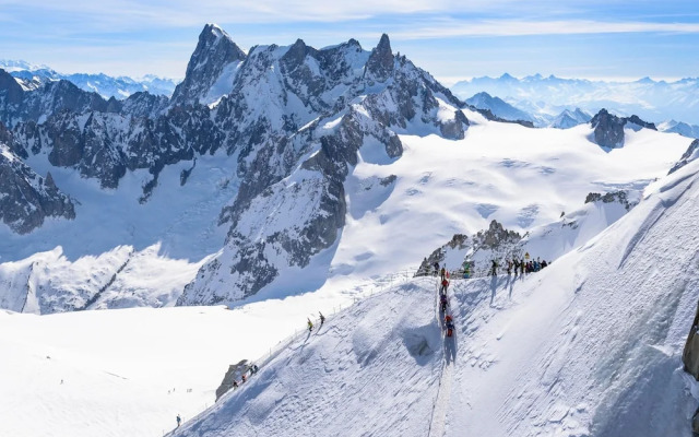 R Sidence Androsace 42