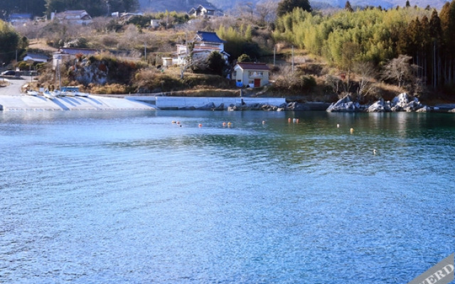 Minshuku Sakaya