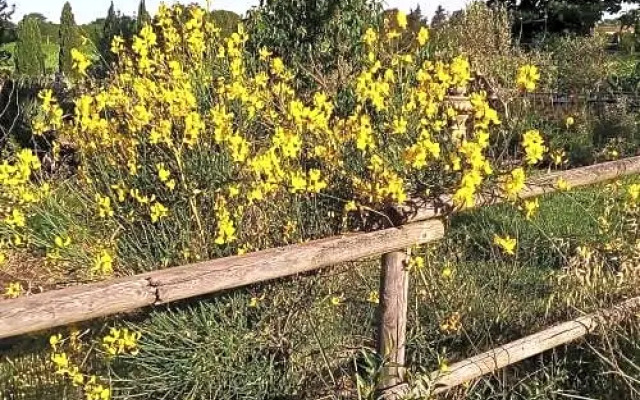 B&B La Gallinella Rossa