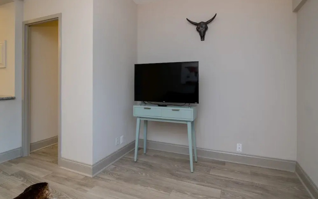 1 Bedroom Downtown Condo