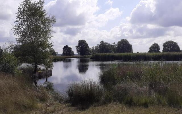 Drentse bungalow in natuur en rust
