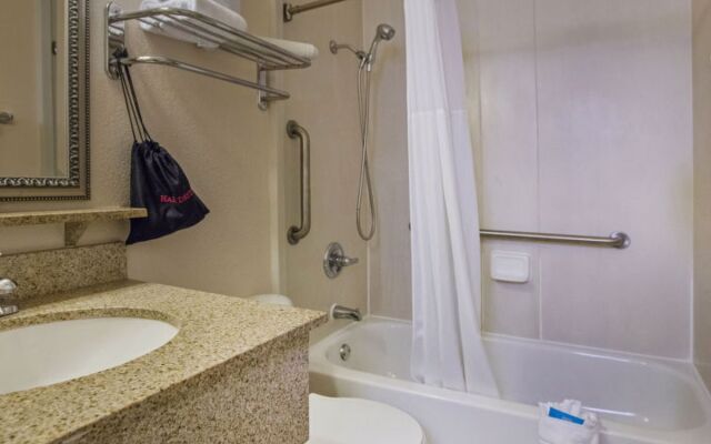 Tampa Waterfront 14179