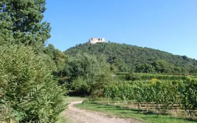 Landgasthof Jägerstübchen