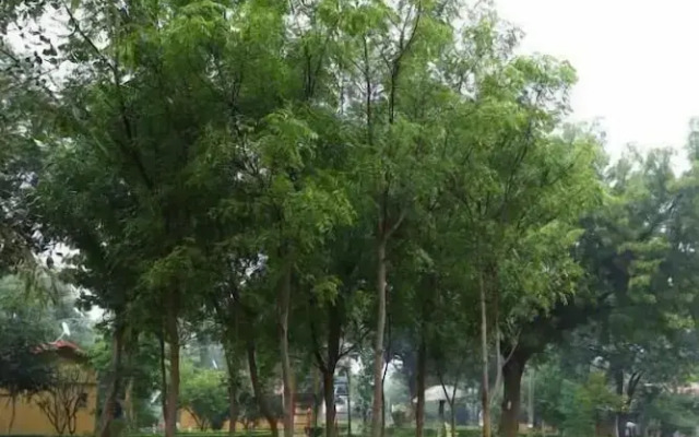 Tourist village Khajuraho