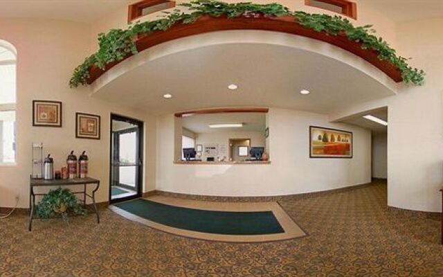 Comfort Inn & Suites North Hays Area